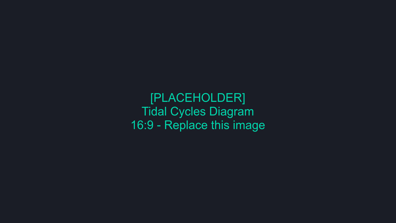Tidal cycles visualization